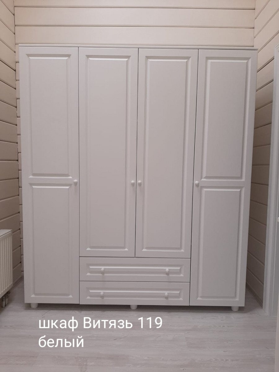 Шкаф Витязь 119